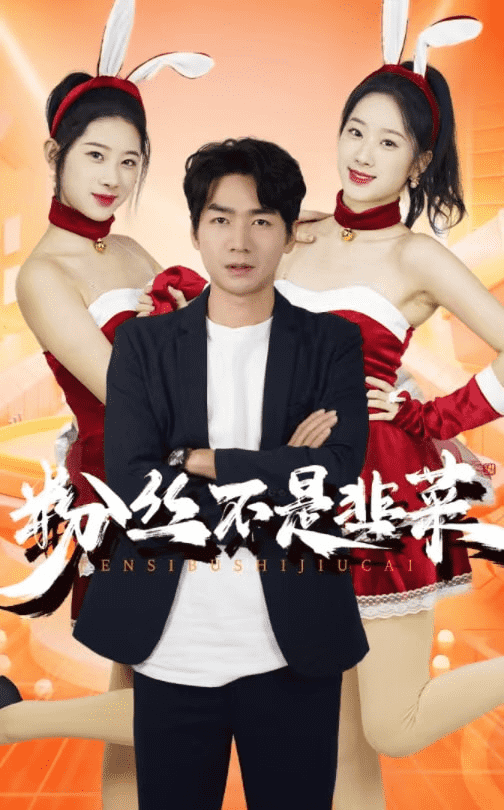 粉丝不是韭菜海报